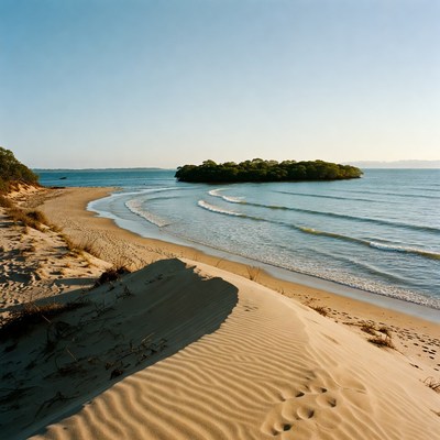 Sandy Beach with Waves and Island