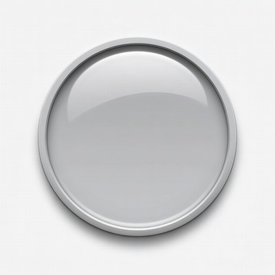 Shiny Gray Circle Button