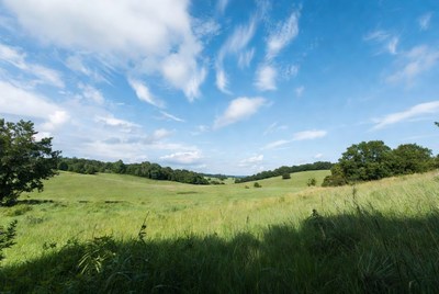 Green valley with trees and blue sky