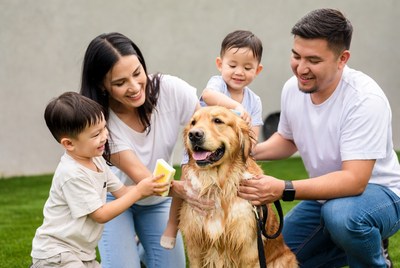 Family washing golden retriever dog