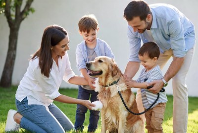 Family washing golden retriever dog