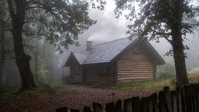 Log Cabin in Misty Forest