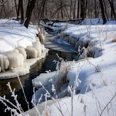 Winter Stream with Icicles in Snowy Forest