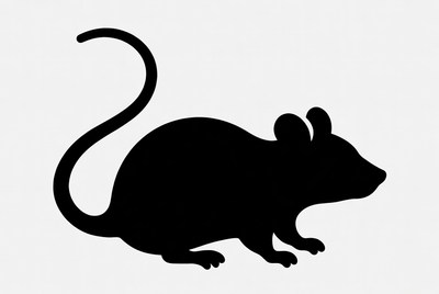 Black silhouette of mouse
