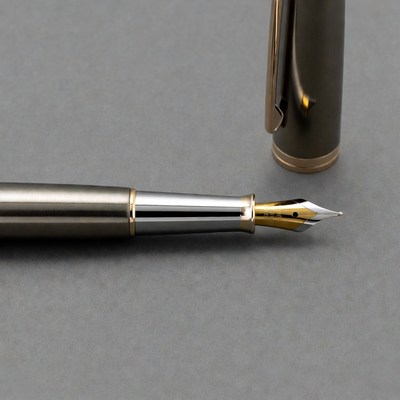Gunmetal Fountain Pen with Gold Nib
