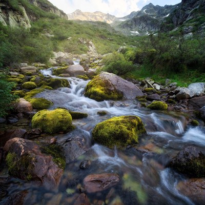 Mountain Stream with Mossy Rocks