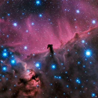 Horsehead Nebula in Starry Space