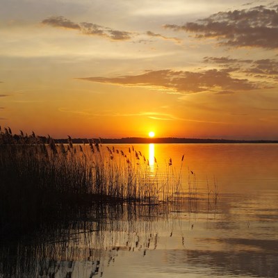 Sunset over lake with reeds