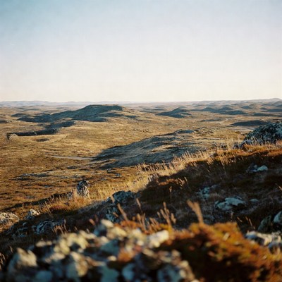 Vast Rolling Hills Landscape