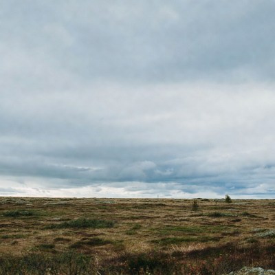Cloudy sky over grassy field