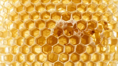 Honeycomb with Honey and Wax
