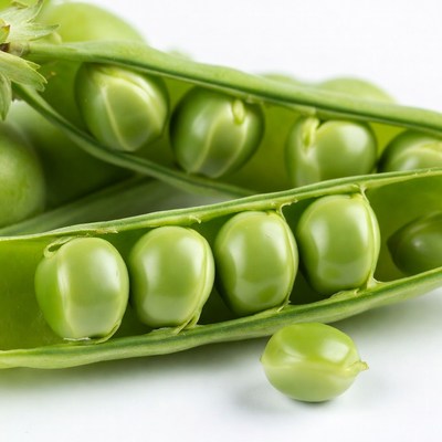 Fresh Peas in Open Pods