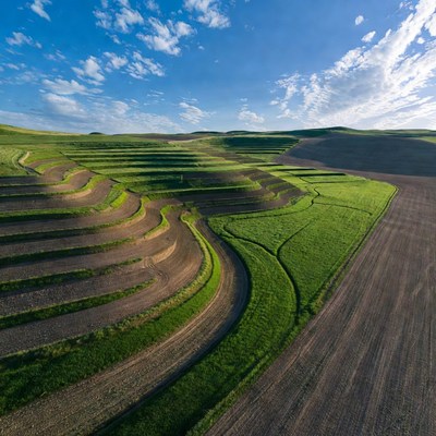 Terraced Green Hills Under Blue Sky