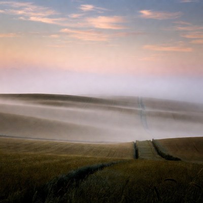 Foggy rolling hills with path at sunset