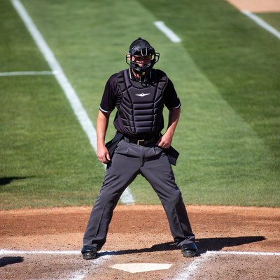 Baseball catcher in full gear