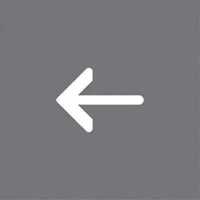 White Left Arrow Icon