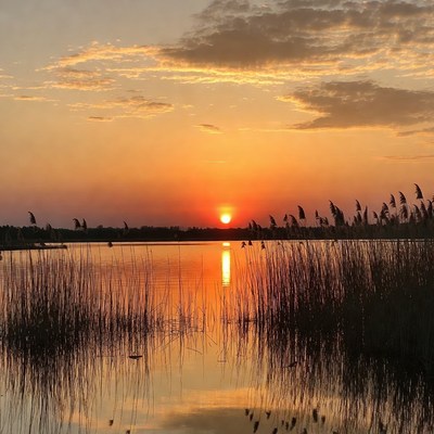 Sunset over lake with reeds