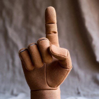 Raised index finger hand gesture