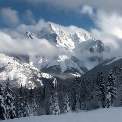 Snowy Mountain Peaks with Pine Trees