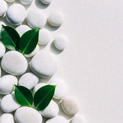 White Pebbles and Green Leaves