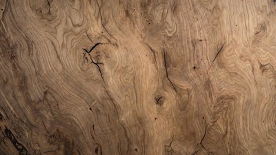 Close-up Walnut Wood Grain Texture