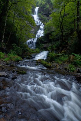Waterfall cascading in lush green forest