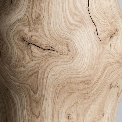 Close-up Oak Wood Grain Texture
