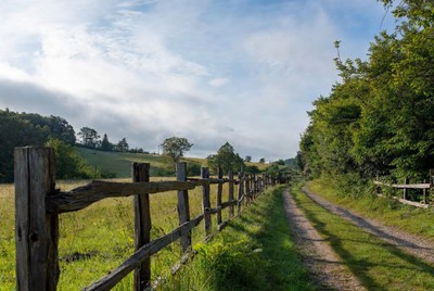 Wooden fence along rural dirt path