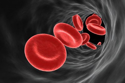 Red blood cells in vessel