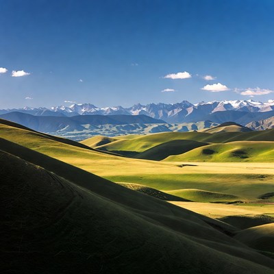 Green Rolling Hills Snowy Mountains