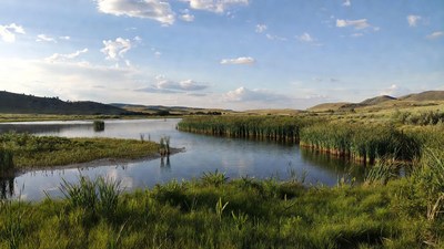 Scenic River with Reeds and Mountains