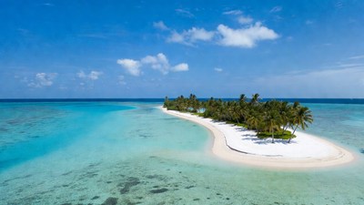 Tropical Palm Island in Turquoise Lagoon