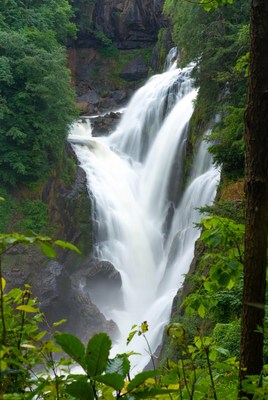 Waterfall cascading in lush green forest