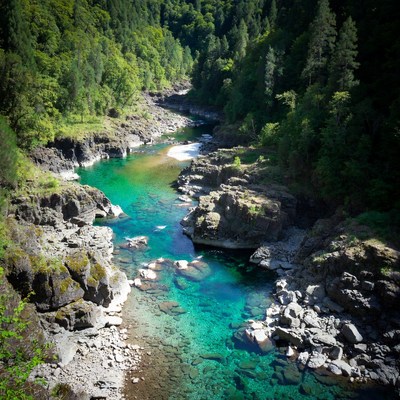 Turquoise River in Forest Valley