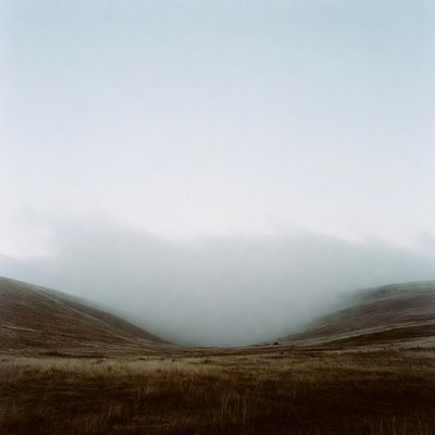 Foggy valley with grassy hills