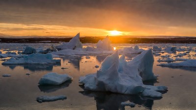 Icebergs in Arctic Sunset