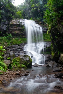 Waterfall cascading in lush rainforest