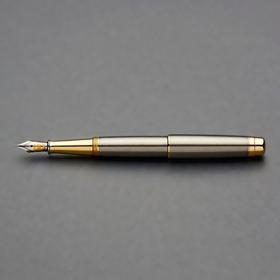 Silver Fountain Pen with Gold Accents