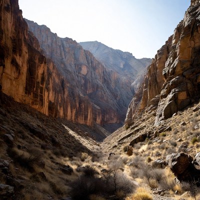 Narrow canyon with red rock walls
