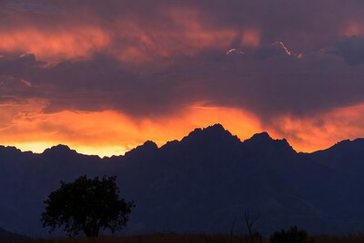 Sunset over mountains with tree silhouette