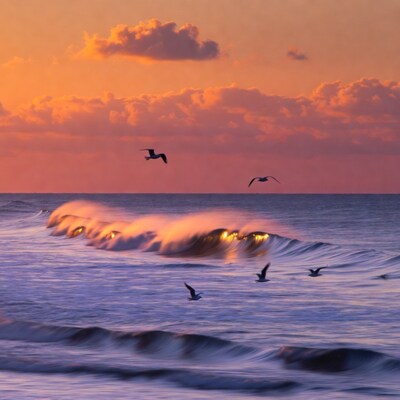 Seagulls over crashing waves at sunset
