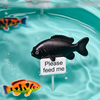 Black fish with 'Please Feed Me' sign underwater