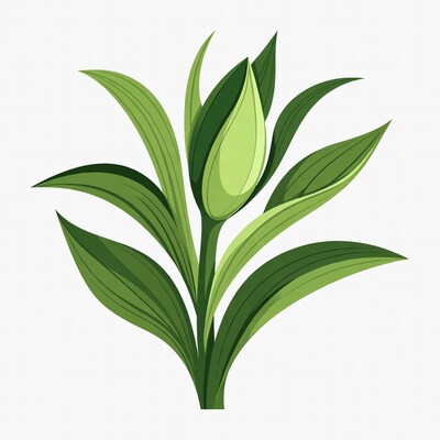 Green Tulip Bud with Leaves