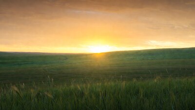 Sunset over green grassy field
