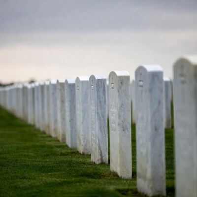 Row of White Headstones in Cemetery