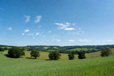 Green rolling hills with trees