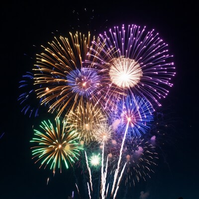 Colorful Fireworks Exploding at Night