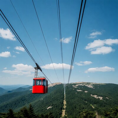 Red Cable Car Over Mountain Forest
