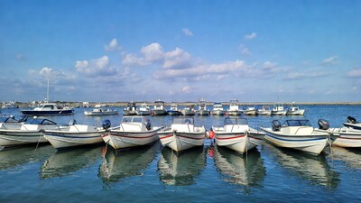 White boats docked in marina