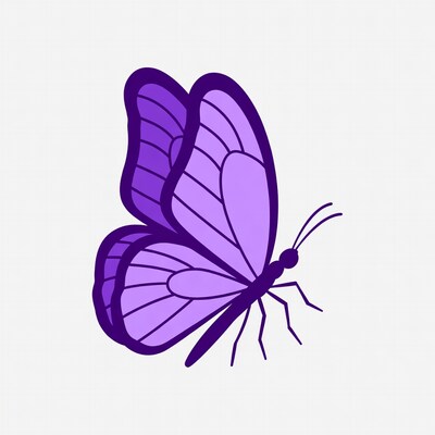 Purple butterfly illustration